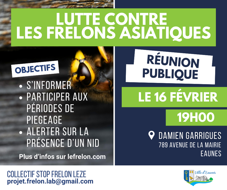Lutte contre le frelon asiatique - format FB