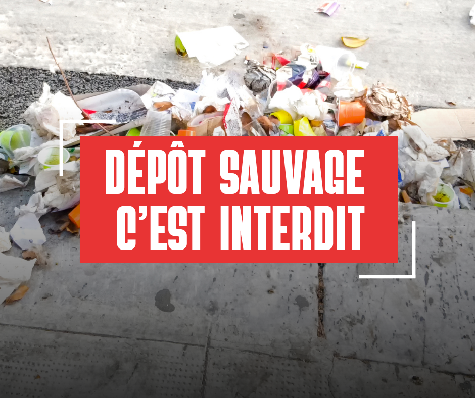 dépot sauvage(1)