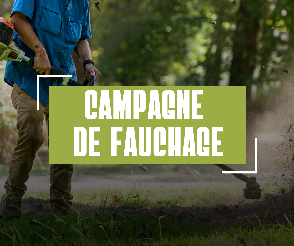 fauchage campagne (1)