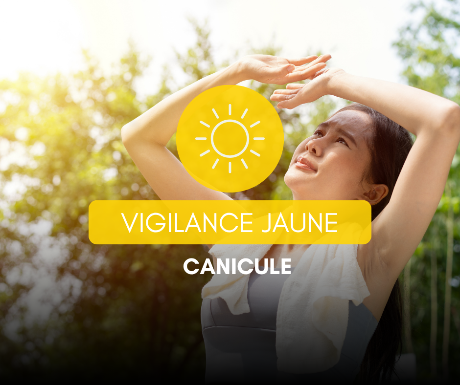 Alerte jaune canicule
