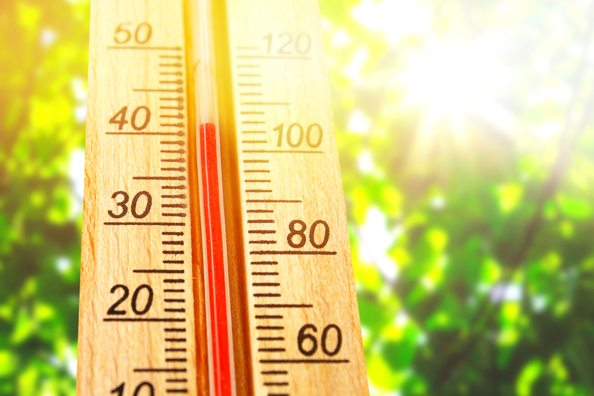 canicule